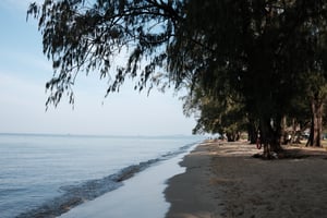 Trên bờ biển vắng