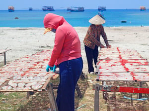 Phơi cá giữa trưa