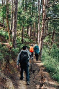 Nhóm bạn trẻ đi trekking