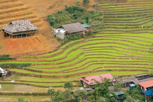 Ruộng bậc thang