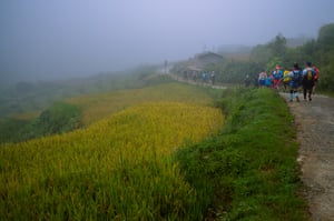 Con đường trên ruộng bậc thang