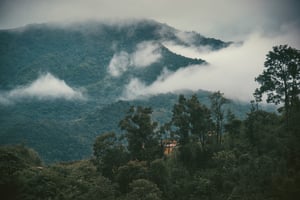 Northern Vietnam Landscape
