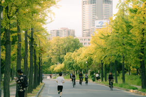 Đường đi vào Thành Osaka