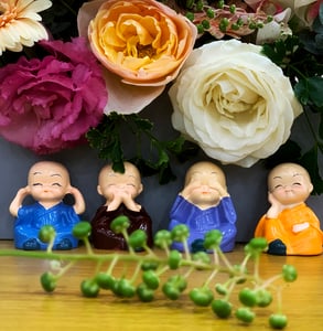 Chú Tiểu Tứ Không