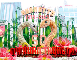 Kim Tỵ và Ngân Tỵ