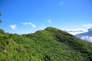 Xương sống khủng long