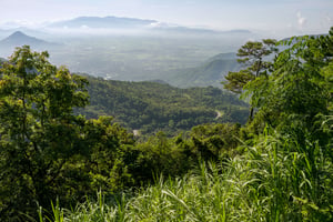Mây mờ quanh núi xanh