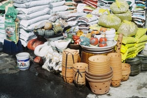 Chậu và đồ gốm