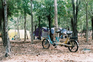 Xe đạp đôi