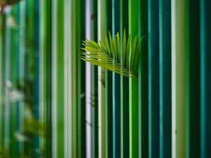 A green wall