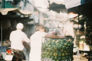 The Journey of Tangerines