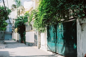 Con hẻm phủ cây xanh