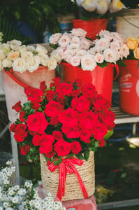 Một giỏ hoa hồng (Roses)
