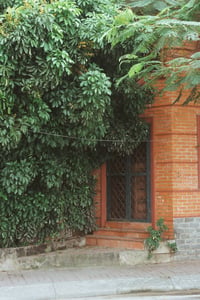 Căn nhà ẩn sau cánh cổng xanh