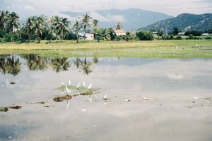 Phan Rang – Tháp Chàm (Ninh Thuận)