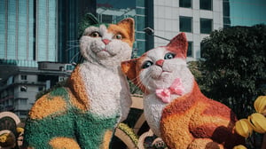 Đôi mèo tại đường hoa Nguyễn Huệ 2023
