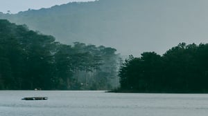 Hồ Tuyền Lâm