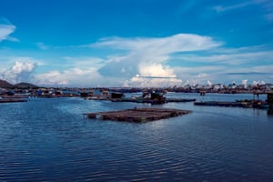 Chiếc bè trên biển