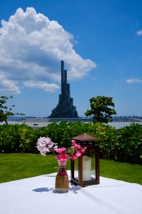 Nhánh hoa bên đèn