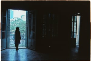 Cô gái bên khung cửa