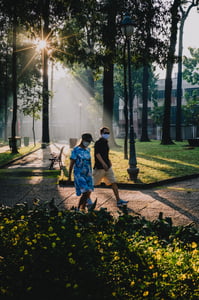 Sun Light At Park
