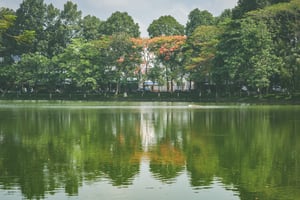 Hồ nước trong công viên Lê Thị Riêng