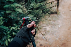 Một con bọ que