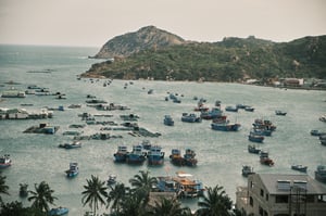 Đoàn thuyền đánh cá