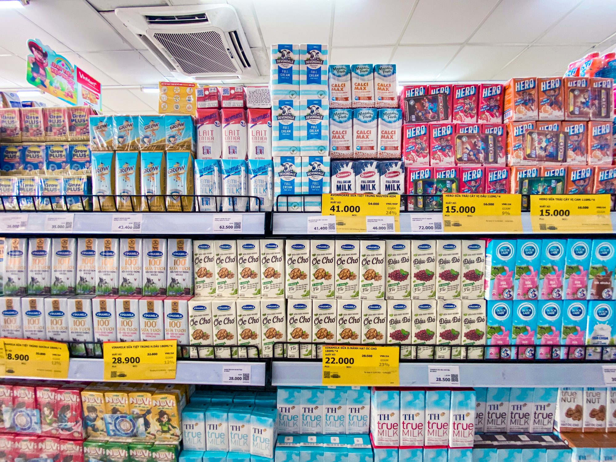 All milk brands on a shelf