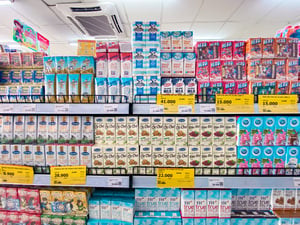 All milk brands on a shelf