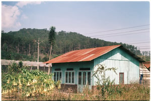 Căn nhà gỗ xanh giữa rừng thông