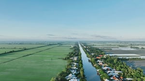 Cánh đồng vô tận