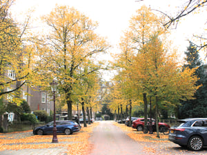 Một góc phố yên tĩnh của Amsterdam khi trời vào thu
