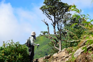 Cột mốc Ky Quan San