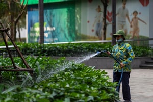 Công nhân tưới cây