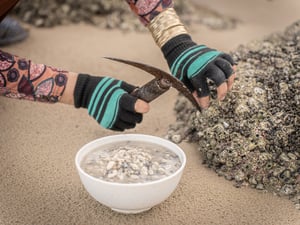 Người phụ nữ cạy hàu đeo vàng