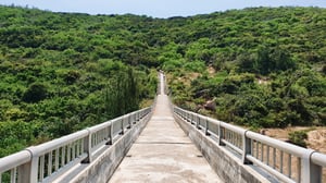 Đường lên Hải đăng Mũi Điện