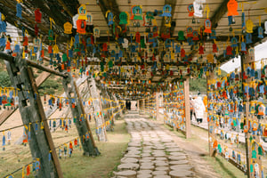 Wishing road