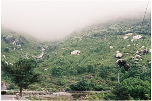 Phong cảnh đèo Hải Vân