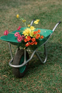 Wedding Flower Decoration