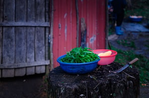 Rổ rau
