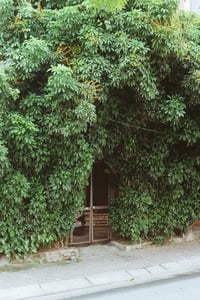 Cổng nhà phủ cây xanh mướt đường bờ kè Hồ Tây