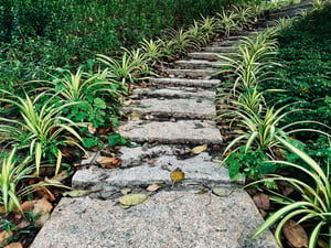 A stone stair trail
