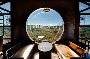 Phin Deli in Cau Dat farm