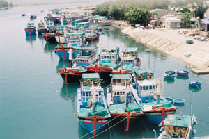 Tàu đánh cá neo đậu tại cảng cá Ninh Thuận