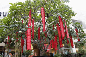 Phong pháo ngày Tết