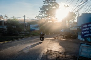 Nắng sớm