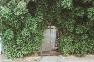 Cổng nhà phủ cây xanh mướt đường bờ kè Hồ Tây