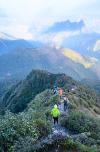 Xương sống khủng long