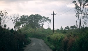 Đường làng quê